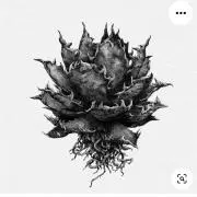plantsの画像