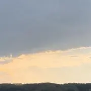 ちょこびの画像