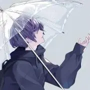 ぬこの画像