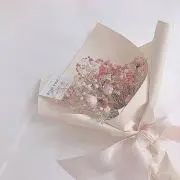 にゃろの画像