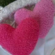 ぴぃちゃんの画像