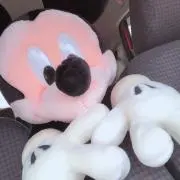 sの画像