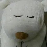 Yyy♥️❣️の画像