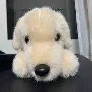 Rufiの画像