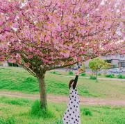 はちの画像