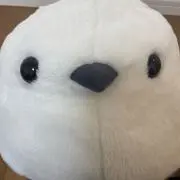 シマエナガの画像