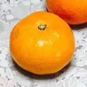 ズッキーニの画像