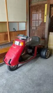 ヨコ