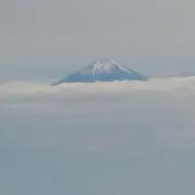 β