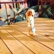 YUKIの画像