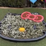 Ebiの画像