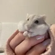 そうた♂の画像