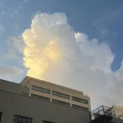 ウル夏の画像