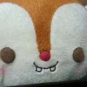 どんぐり