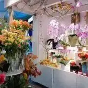 若林