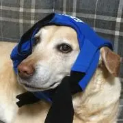 くっこの画像