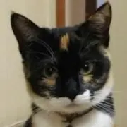 おみすけ