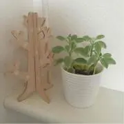 たまこ