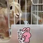 きなさん