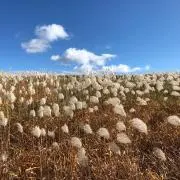 てんテンてん