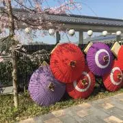 もかの画像