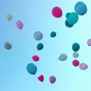 アンズの画像