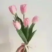 くの画像