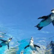 blue sky