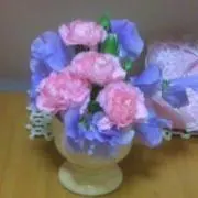 みーの画像