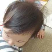 ビビの画像