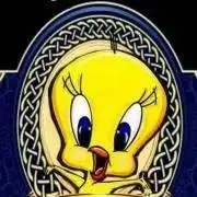 Nokoの画像
