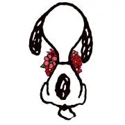 taniの画像