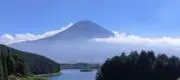 なべしの画像