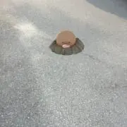 kokoぱ