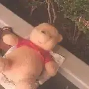 maco    プロフ必読の画像