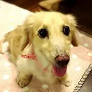 まめさん
