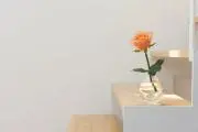 hana@
