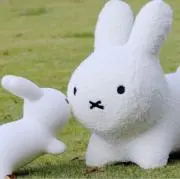 うさぎの画像