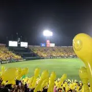 とし。の画像