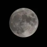 You