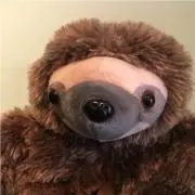 slothの画像