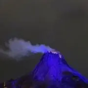 ます 値下げ/即購入⭕️の画像