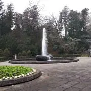 akameの画像