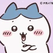 もるの画像