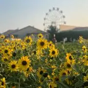 れいれいの画像