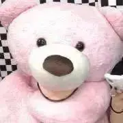 【【プロフ必読】】の画像