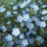 ねぼすけ0707の画像