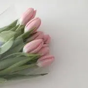 pkr♪の画像
