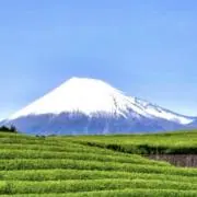 Y-23 【商品説明必ずお読み下さい】の画像