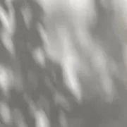 qwerの画像